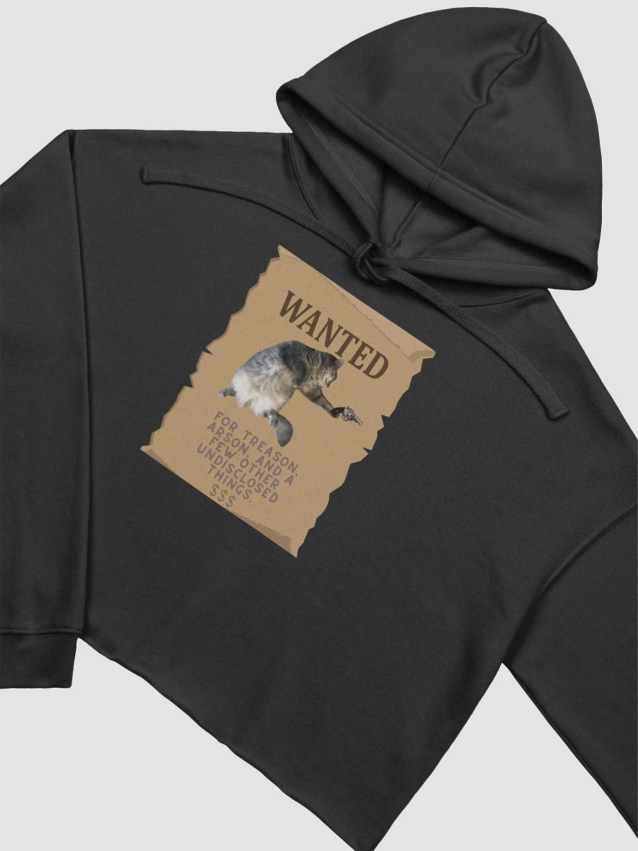 Miso Wanted Poster Cropped Hoodie product image (7)