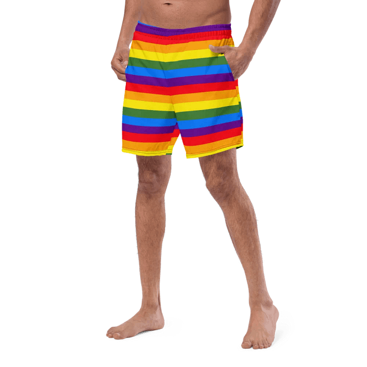 Vibrant Stripes Paradise Swim Shorts product image (2)