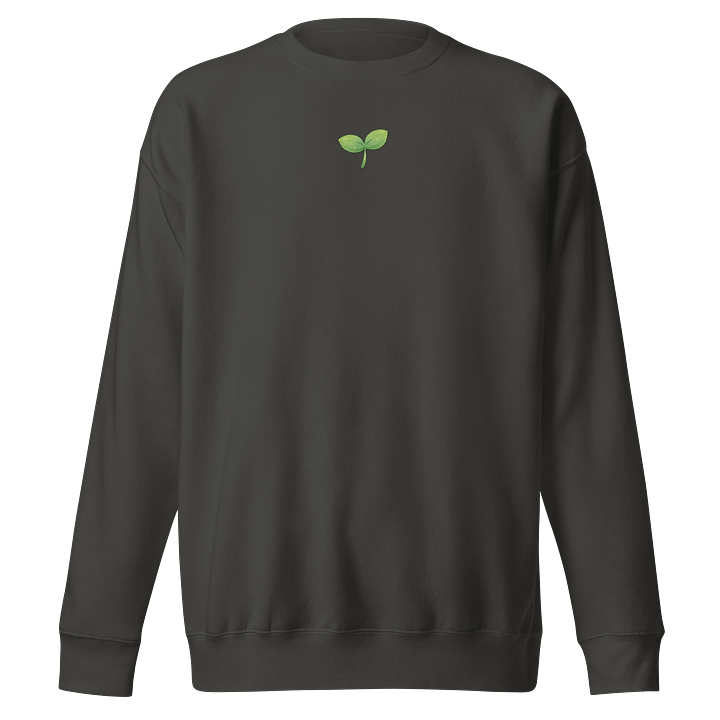 Sprout Embroidered Comfy Sweatshirt product image (1)