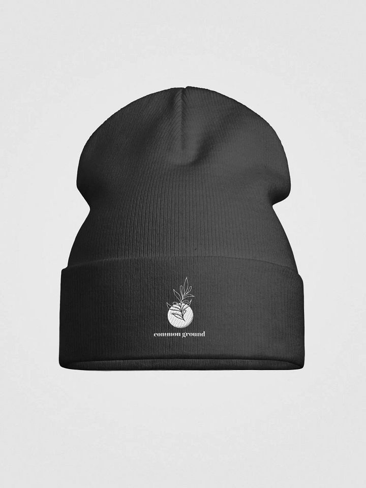 Common Ground - Otto Knit Beanie product image (1)