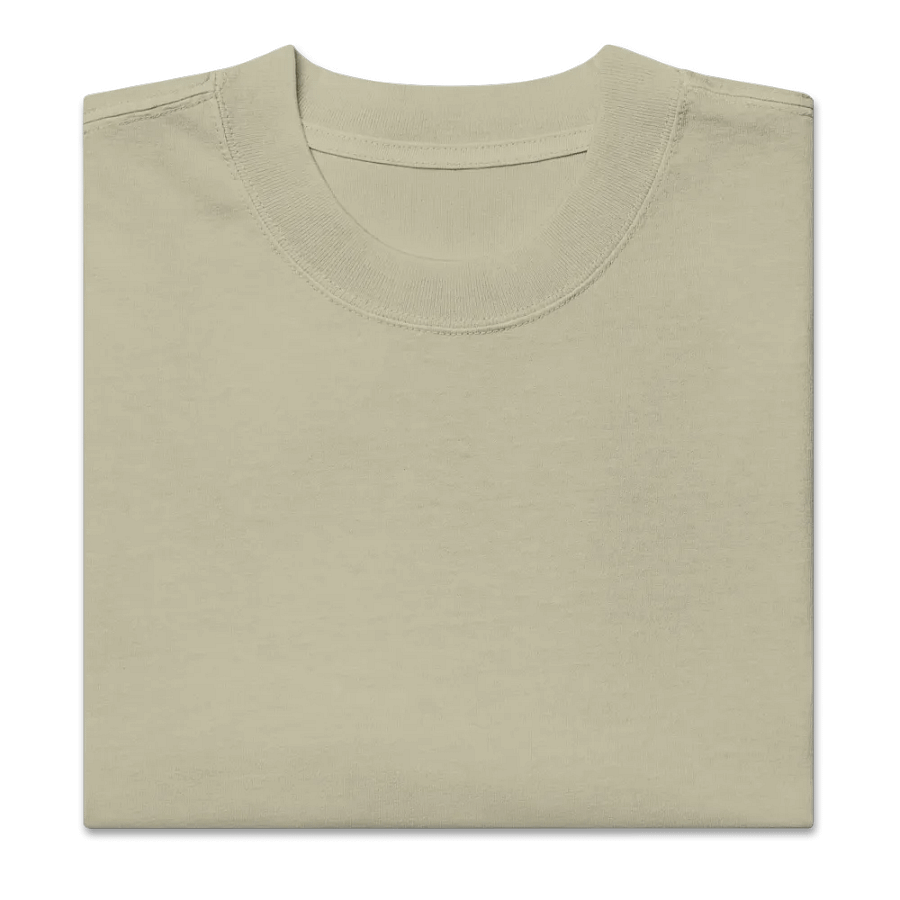 Ascend Minimalist Oversized T-Shirt product image (11)