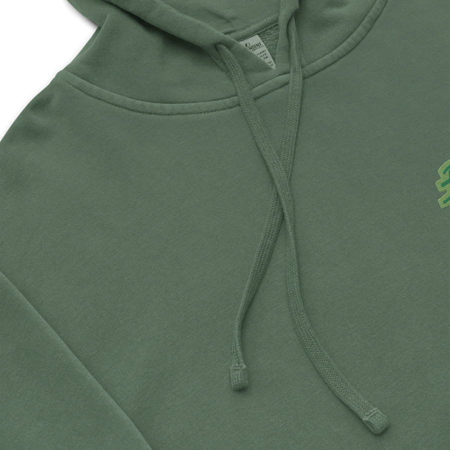 Bubbly and a B*tch (L.C. leaf design) embroidered pigment-dyed hoodie product image (19)
