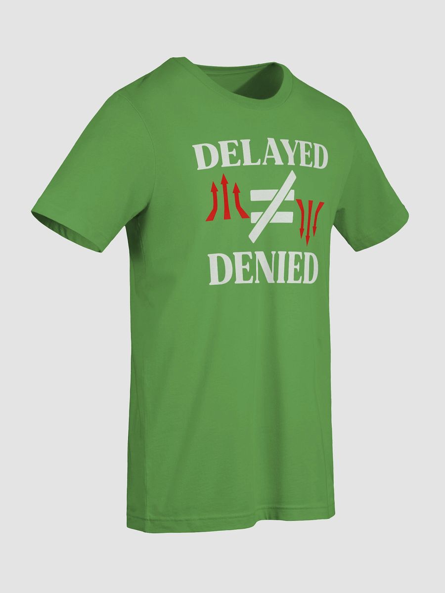 Delayed Not Denied Bella Canvas T-shirt product image (5)