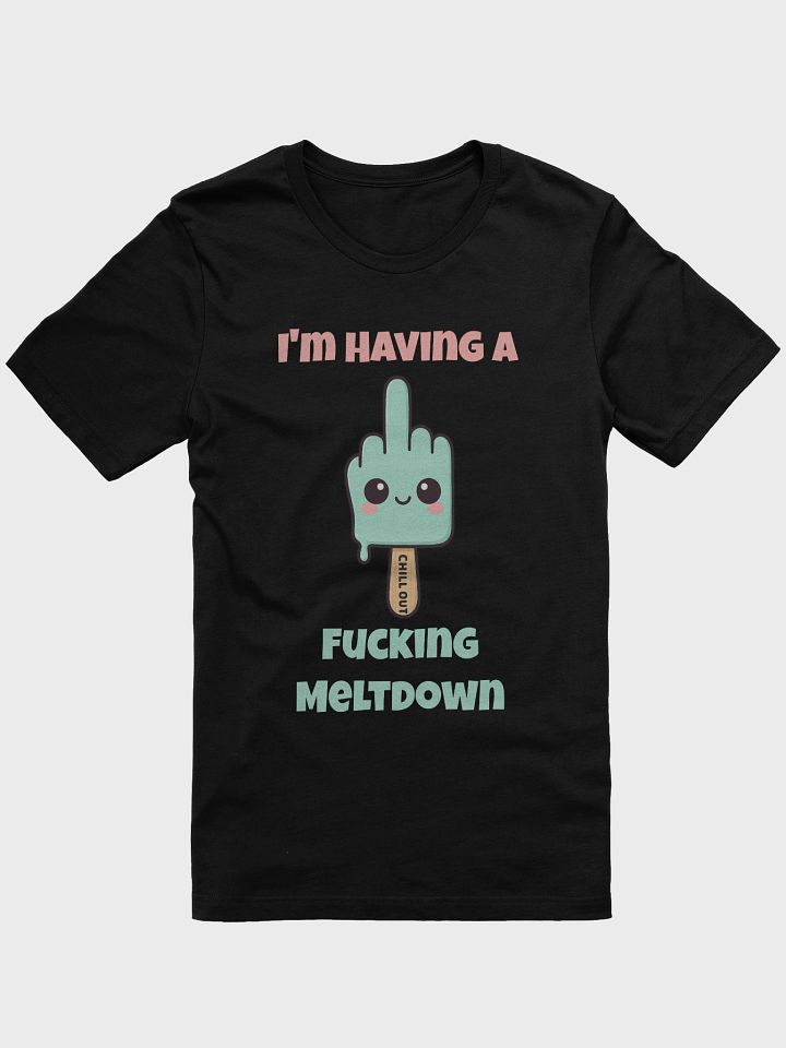 I'm Having A Fucking Meltdown Tee product image (1)
