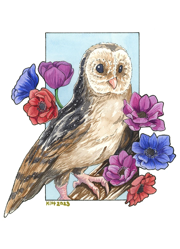Day Owl 8.5x11 Print product image (1)