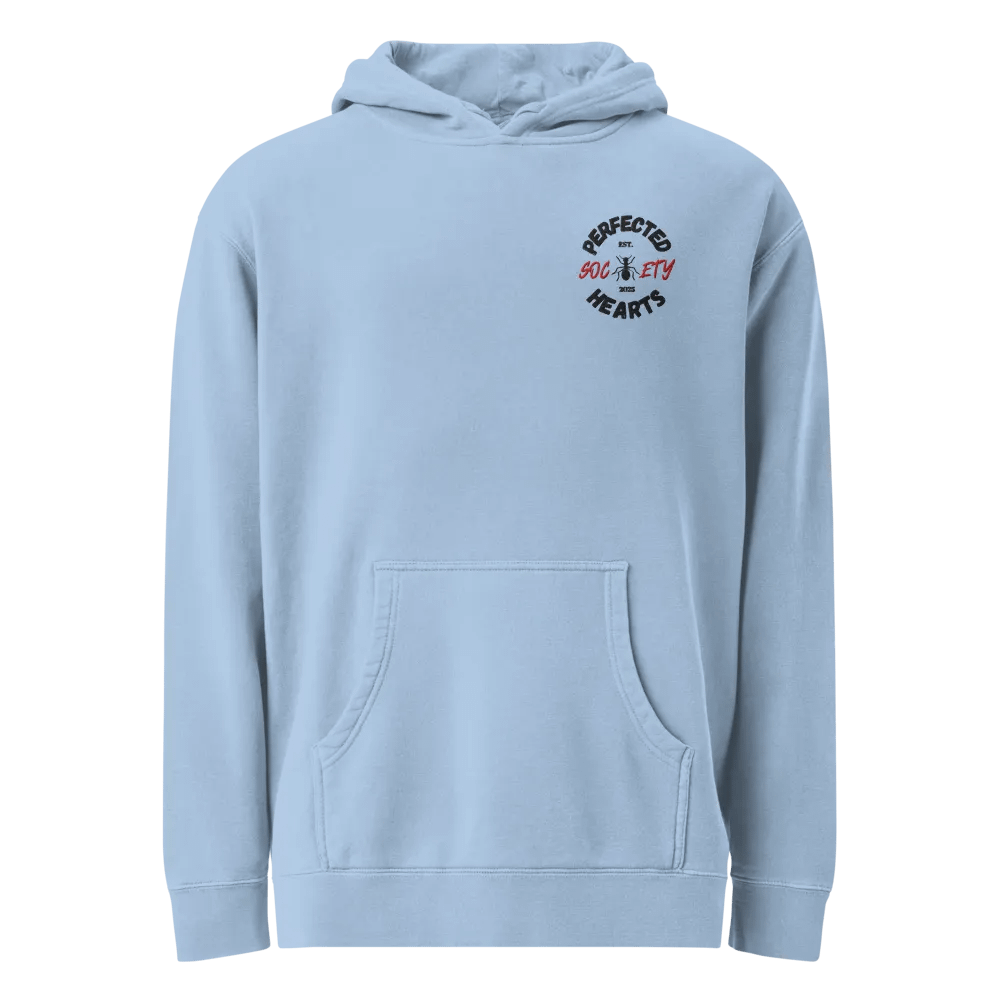 PHS Embroidered Hoodie (BLU) product image (1)