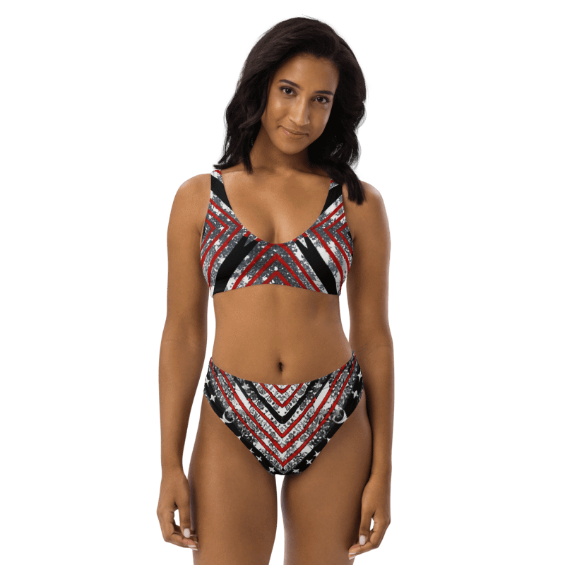 Black/Silver and Stripes Bikini product image (1)