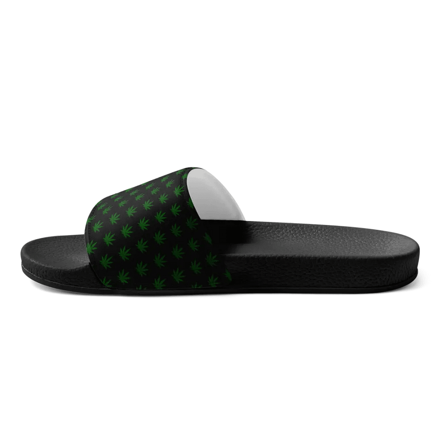 OMD/Globert Bong Slides product image (8)