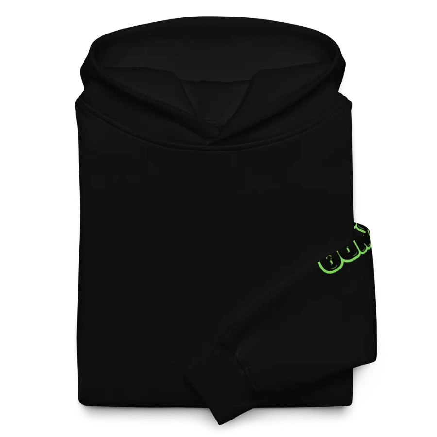 BLP Premium Unisex Hoodie 2024 product image (23)
