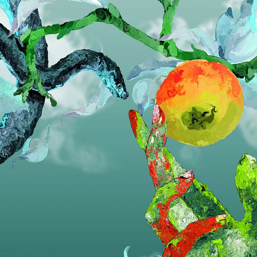 bird's eye product image (2)