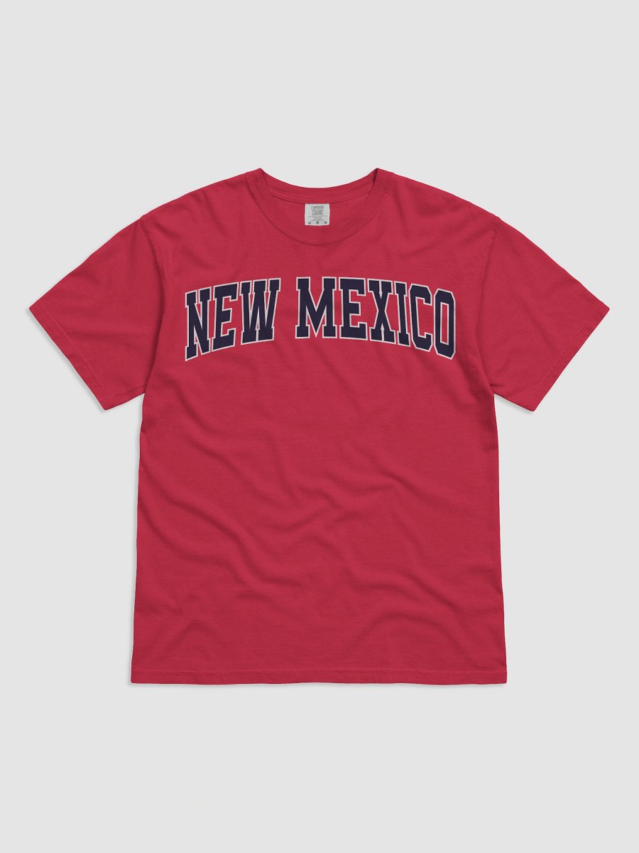 New Mexico Vintage Stylish Unisex Garment-Dyed T-shirt product image (2)