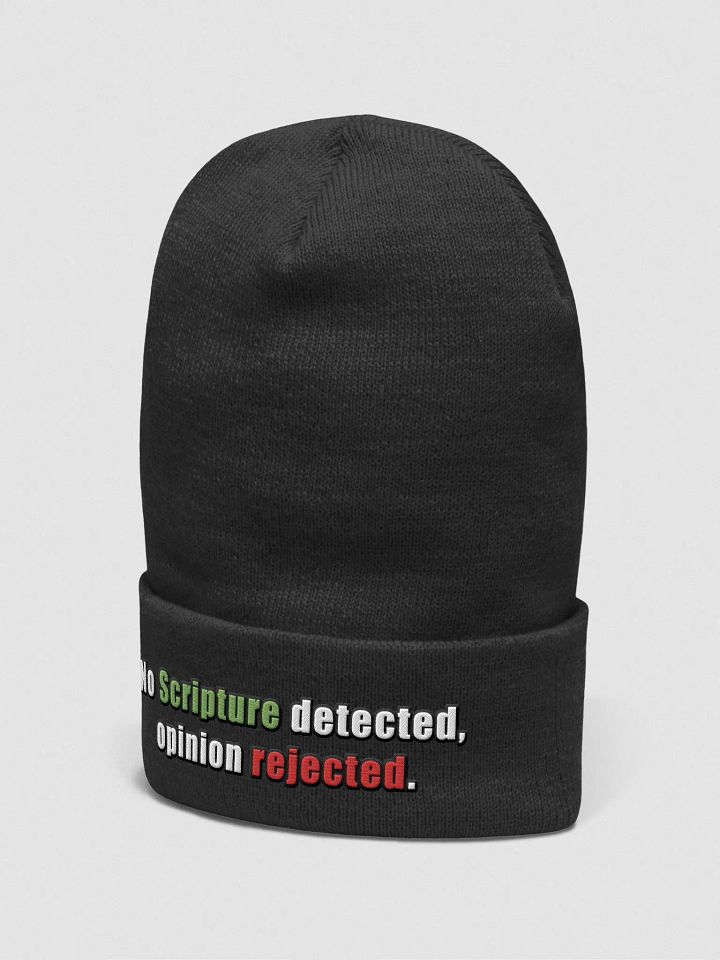 No Scripture Detected Beanie product image (7)