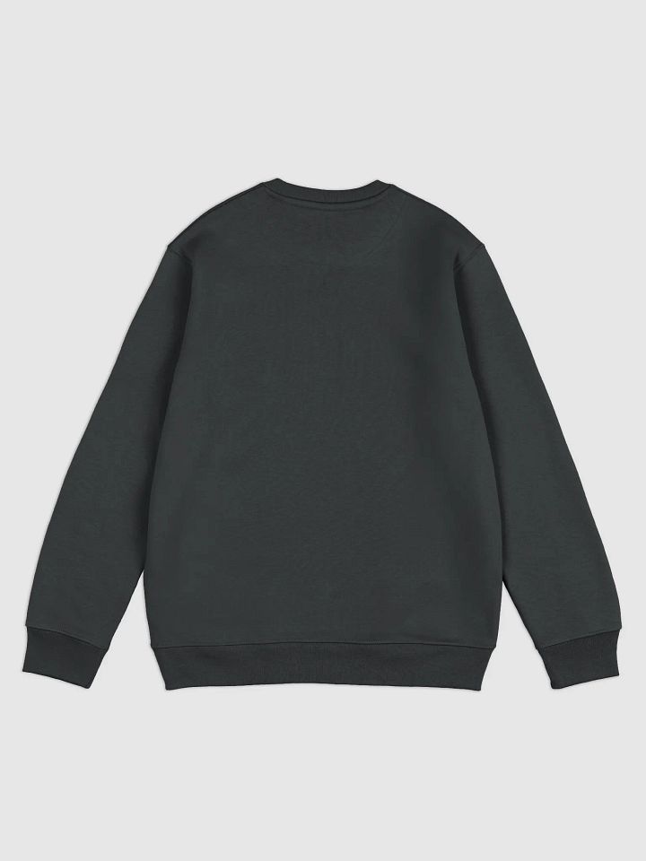 Nova Squat Sweater product image (2)