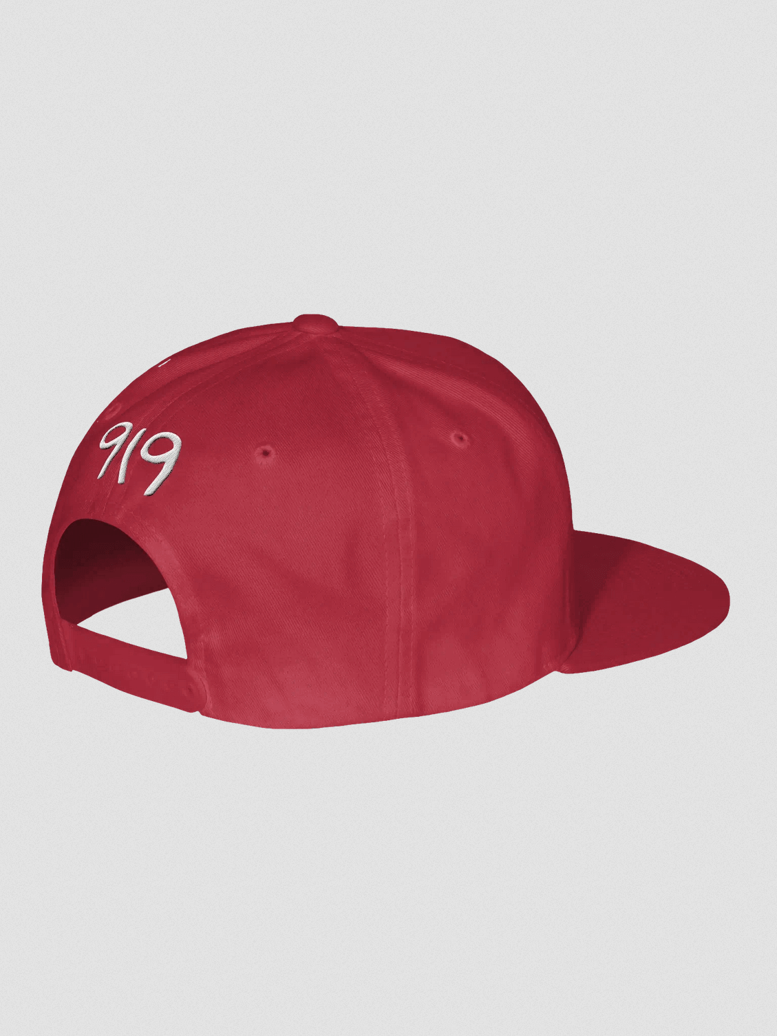 The City of Oaks 919 Snapback Hat - Raleigh, NC (Free Shipping) product image (3)
