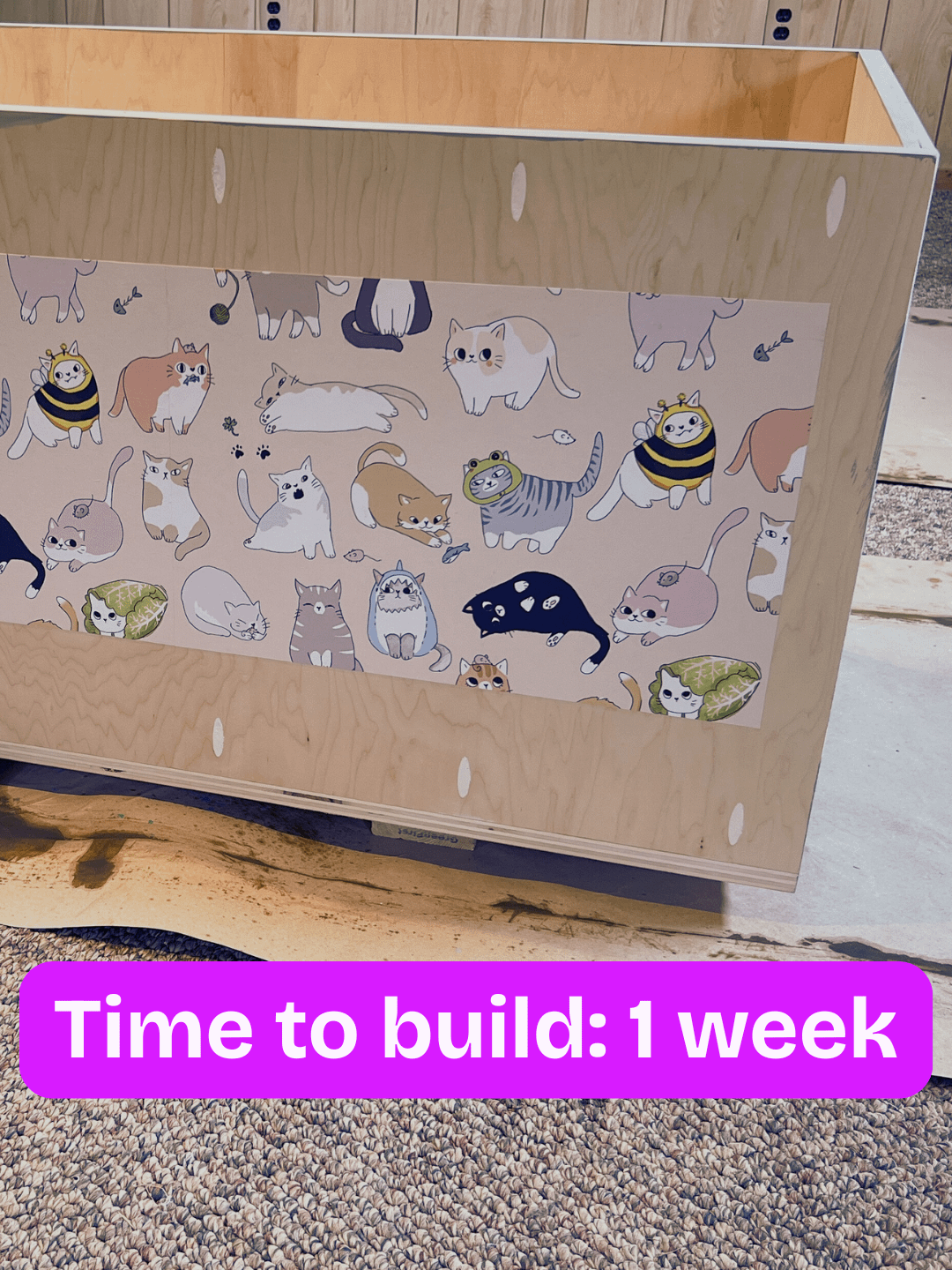 DIY Cat Litterbox Cabinet Plans product image (4)