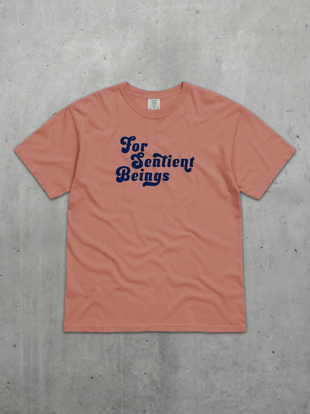 For Sentient Beings Tee product image (5)
