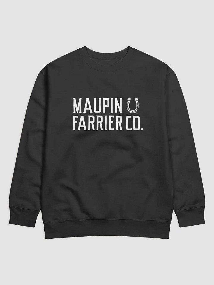 M2 Sweatshirt product image (1)
