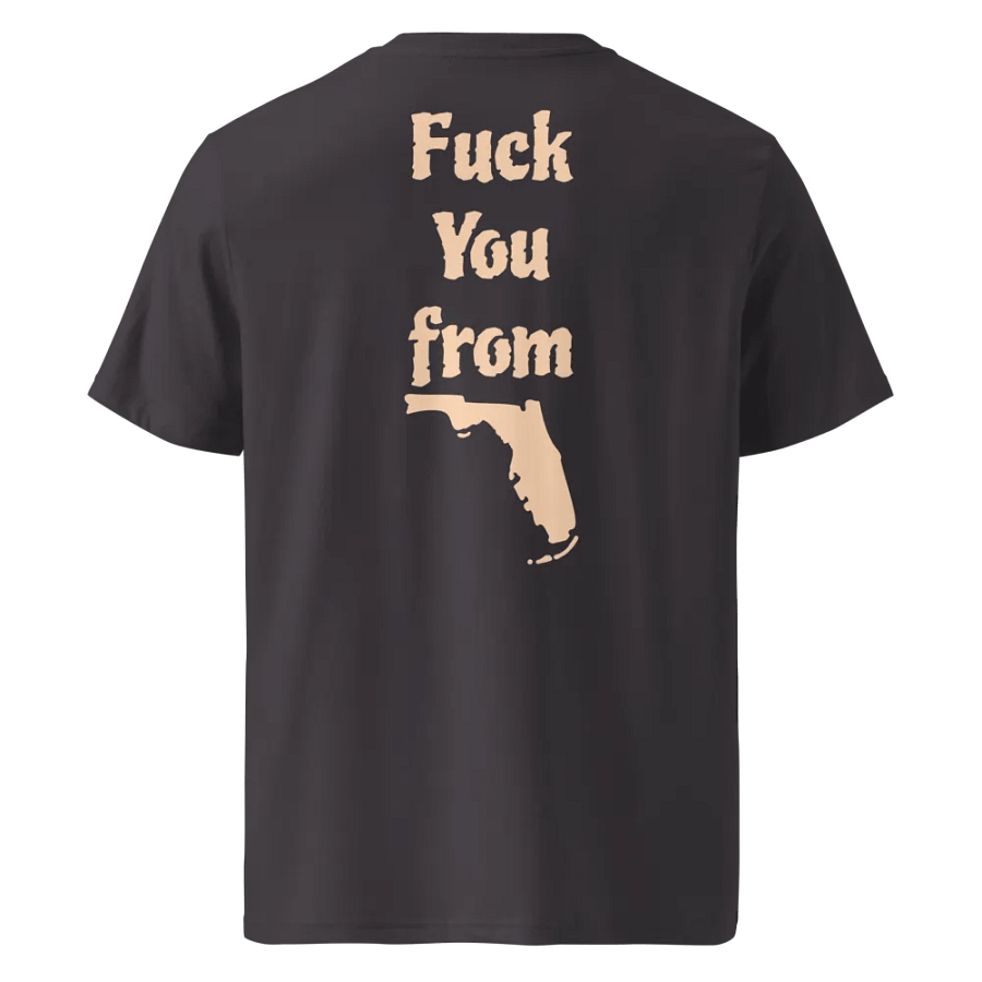 Sunshine State Obscene Organic Tee product image (47)