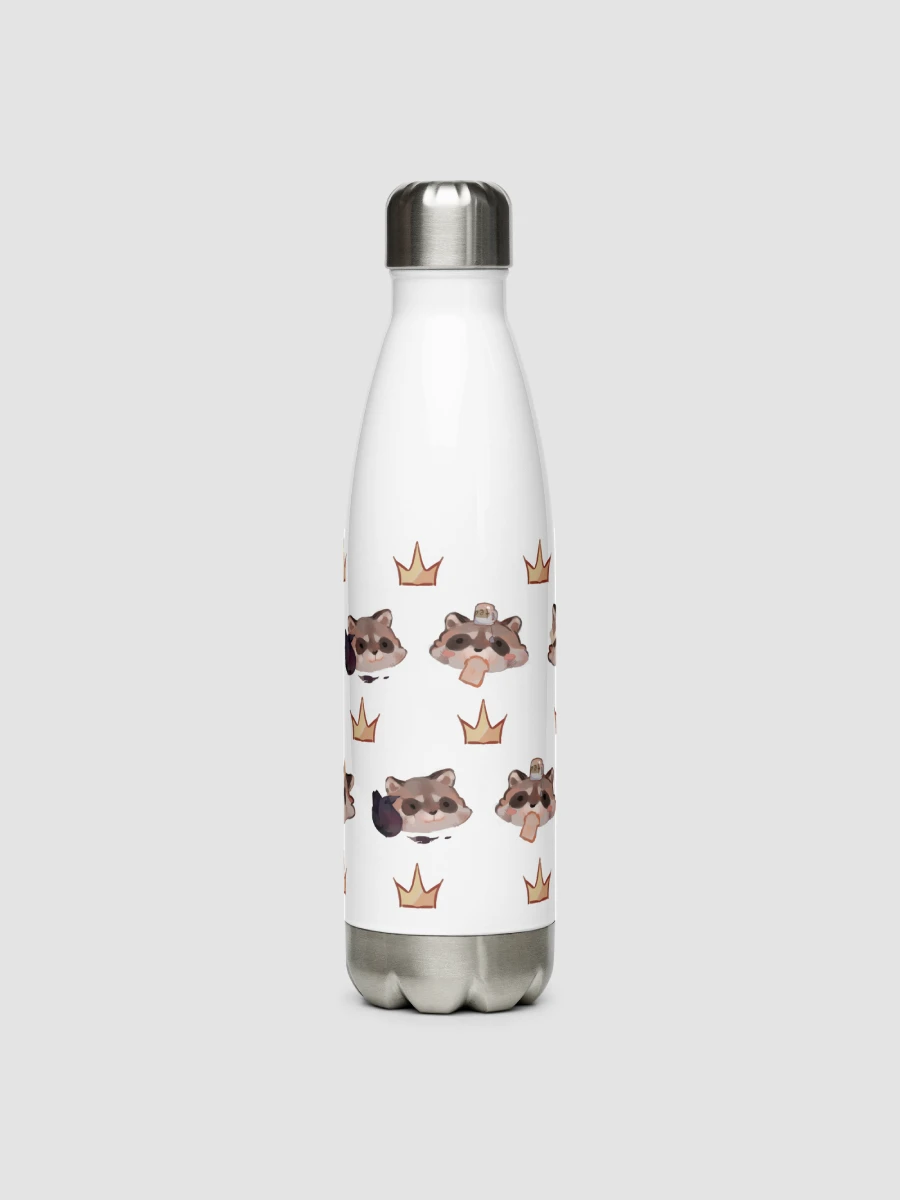 Stainless Steel Water Bottle product image (7)