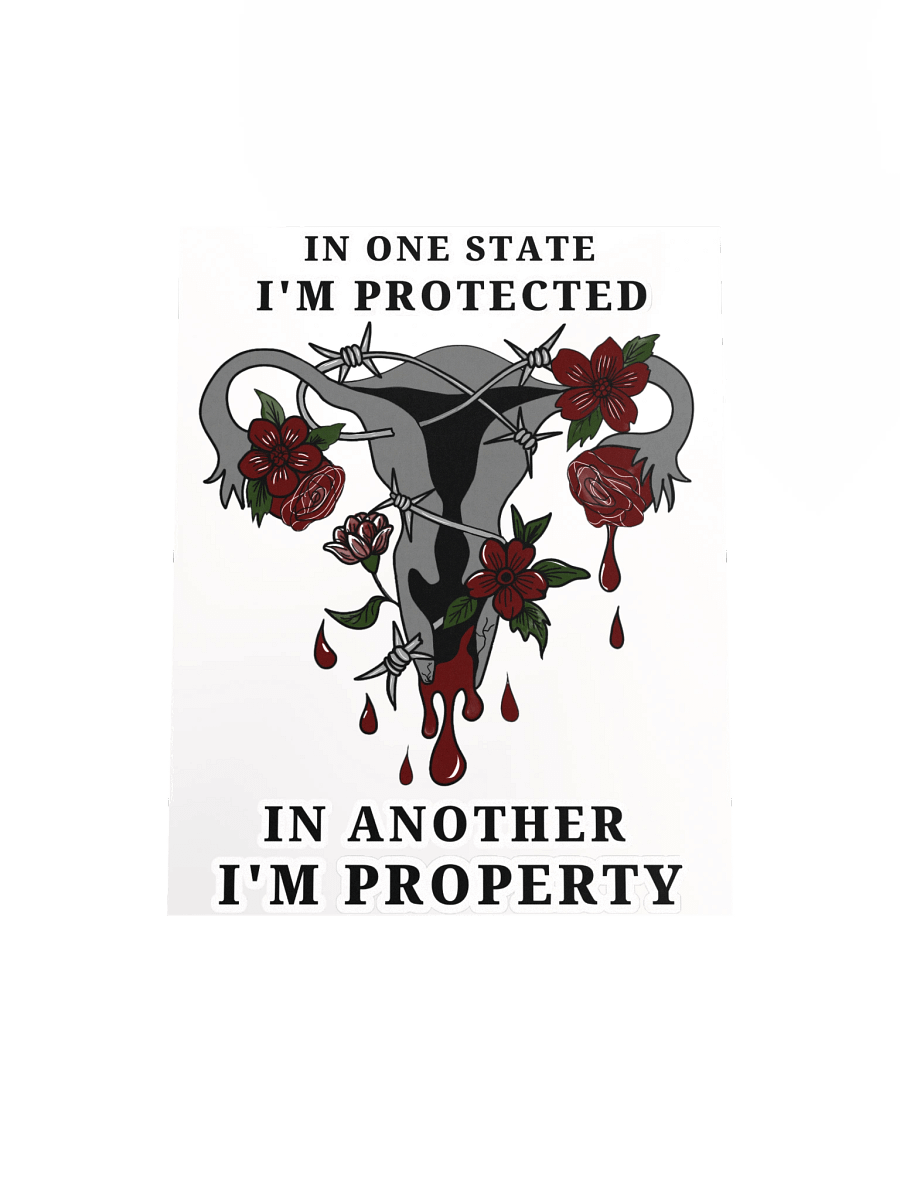 “In One State, I’m Protected — In Another, I’m Property” Poster product image (4)