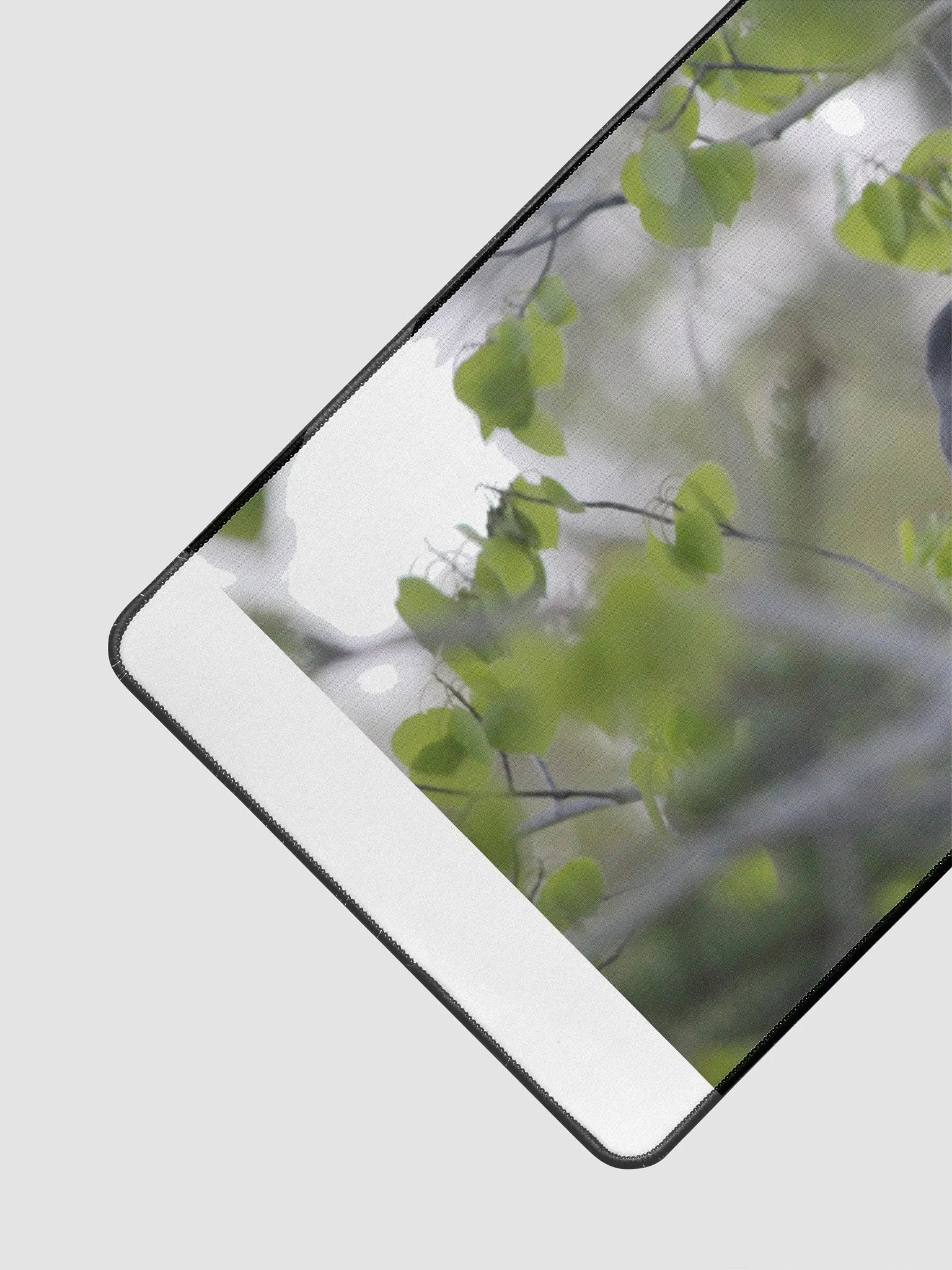 Bird on a tree product image (3)