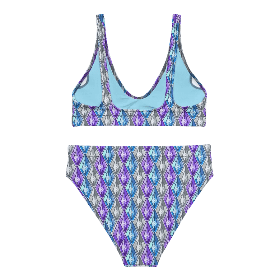 Snowshard Bikini product image (1)