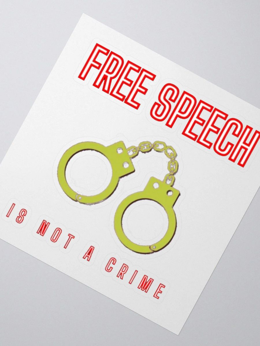 FREE SPEECH IS NOT A CRIME product image (2)