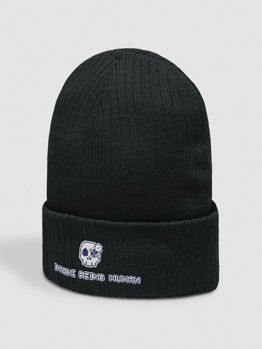 Imagine Being Human Beanie #1 product image (6)
