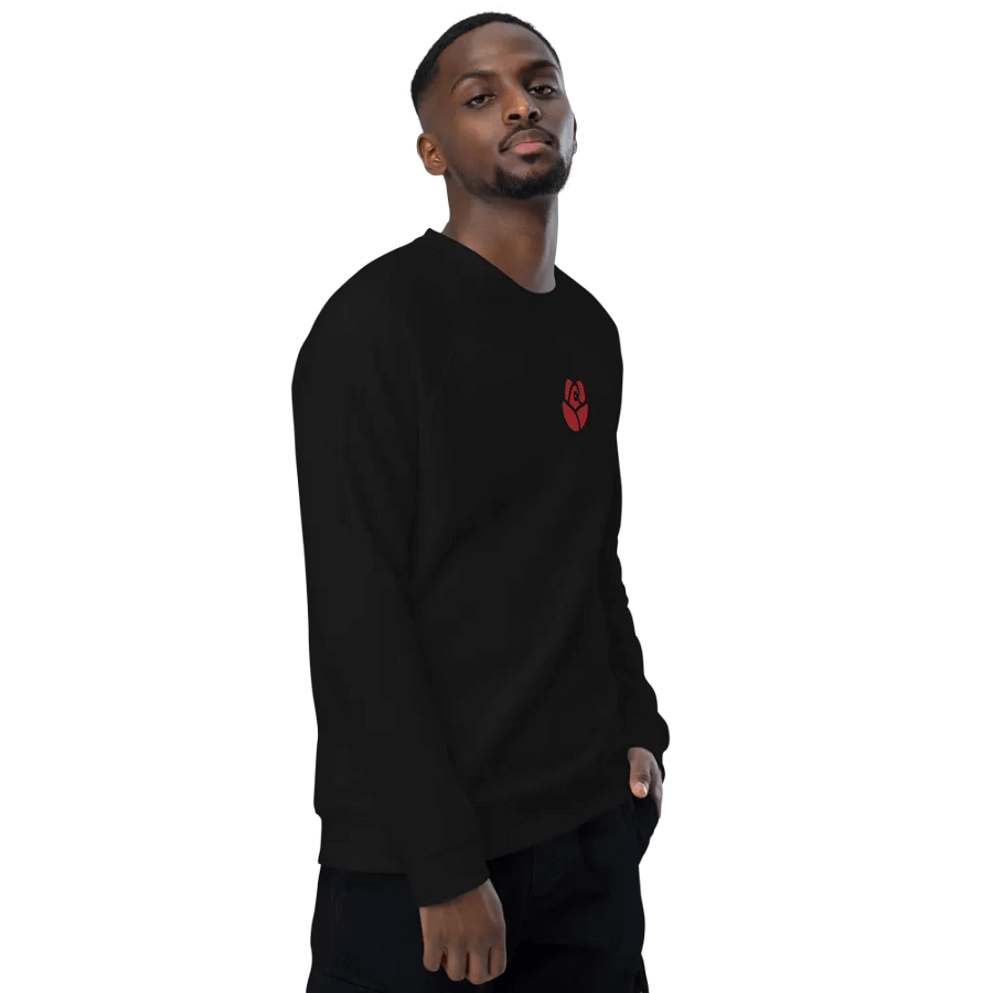 SOL'S Unisex Organic Raglan Sweatshirt product image (11)