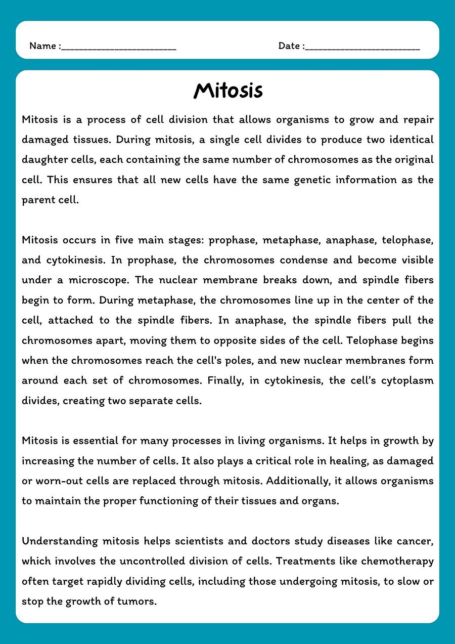 Mitosis Reading Comprehension Passage & Questions product image (1)