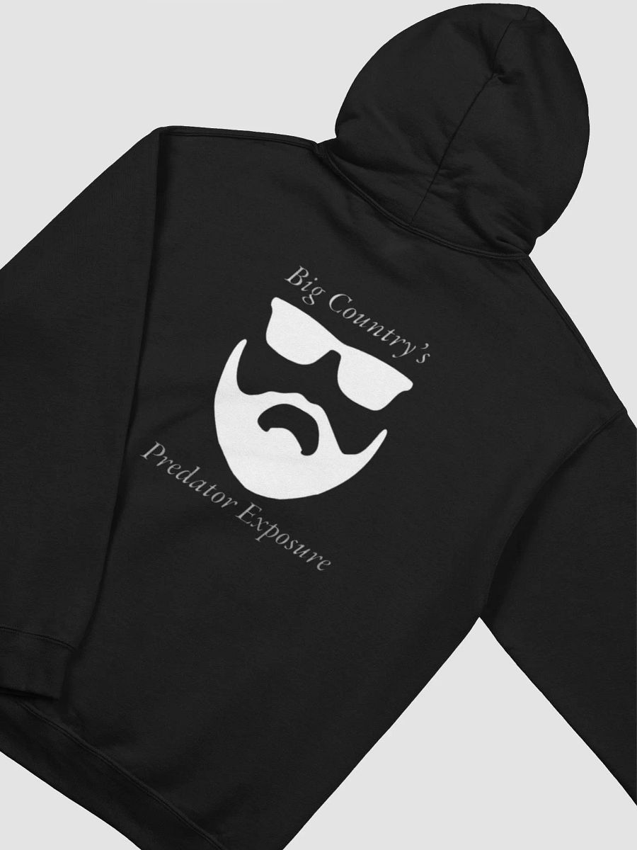 BC IVEE HOODIE product image (4)