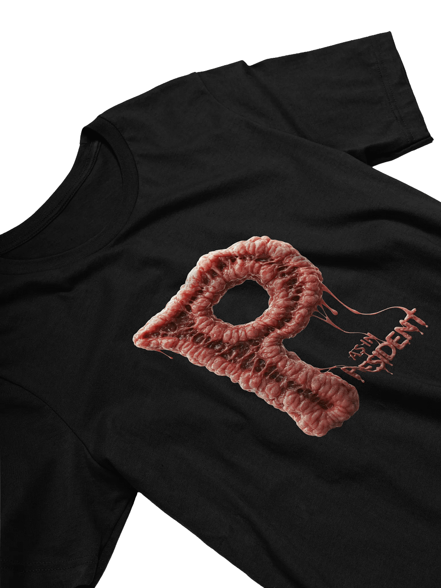 P as in president t-shirt product image (25)