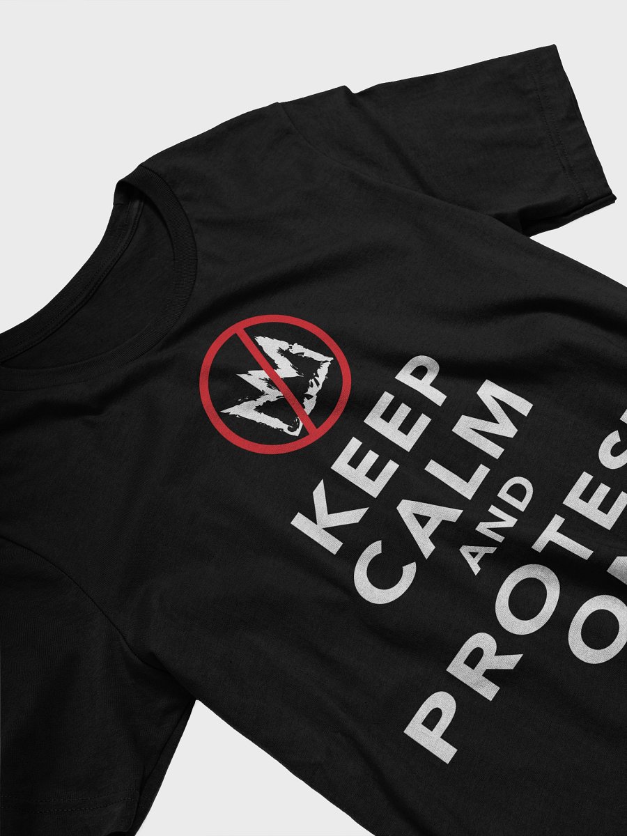 Keep Calm and Protest on - No Kings! product image (22)