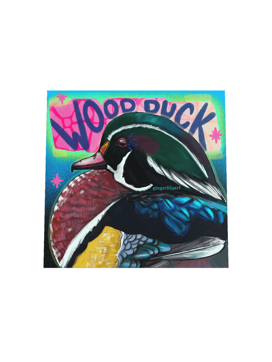 wood duck print product image (7)