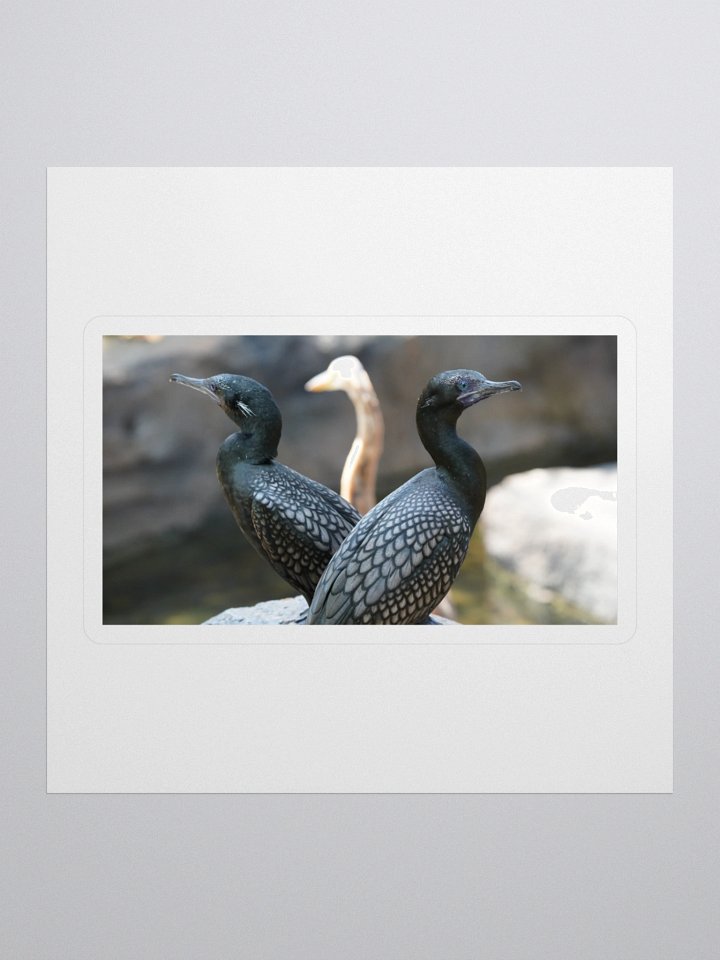 Mystic Avian Kiss Cut Stickers product image (1)