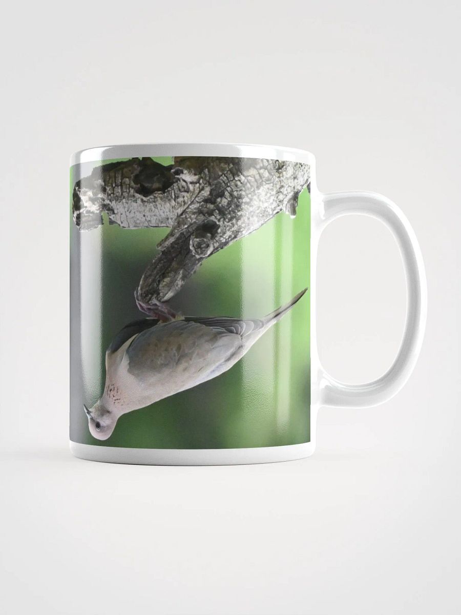 IUCAA Birds MUG product image (1)