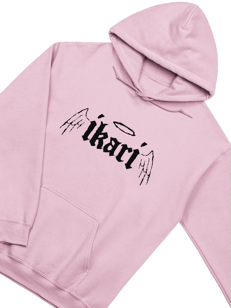 WINGS LOGO HOODIE product image (2)