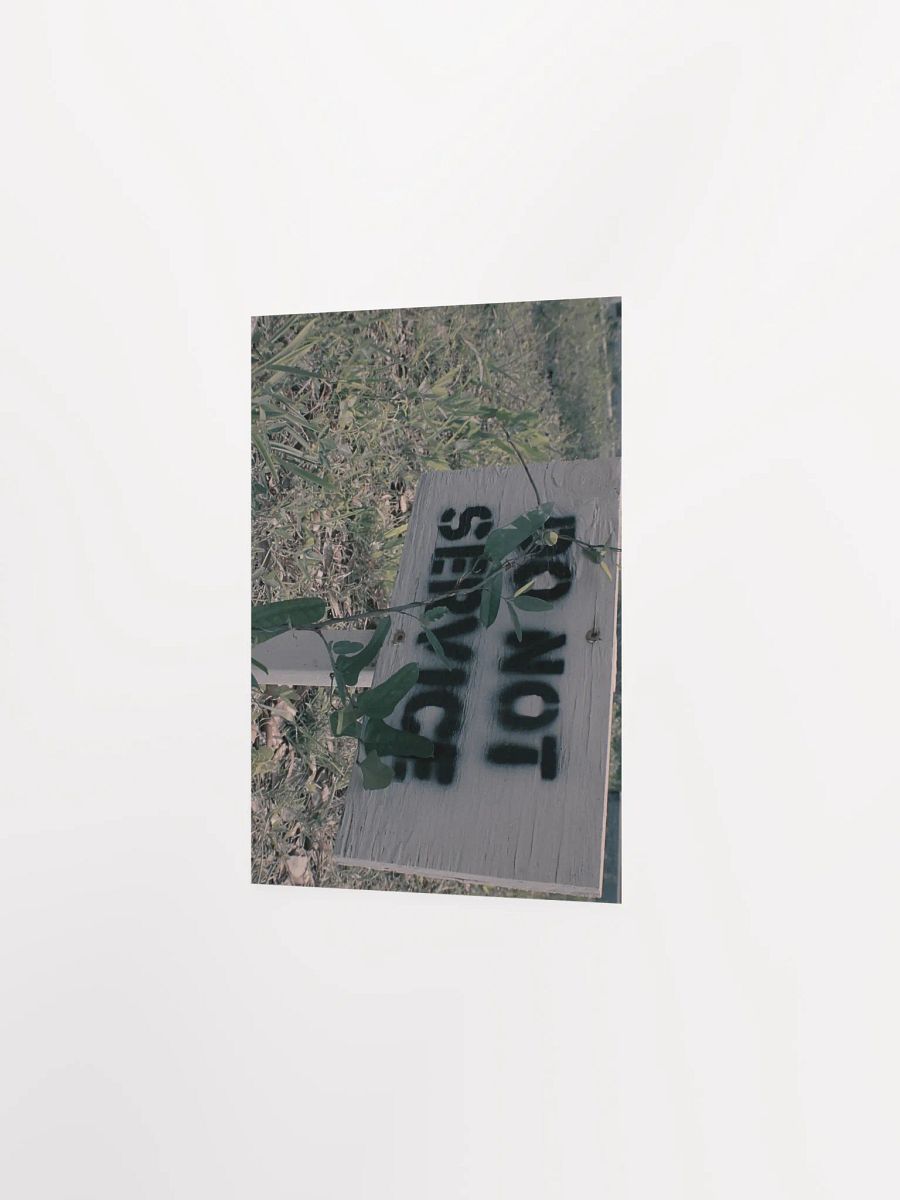 House Arrest of a Dom product image (20)