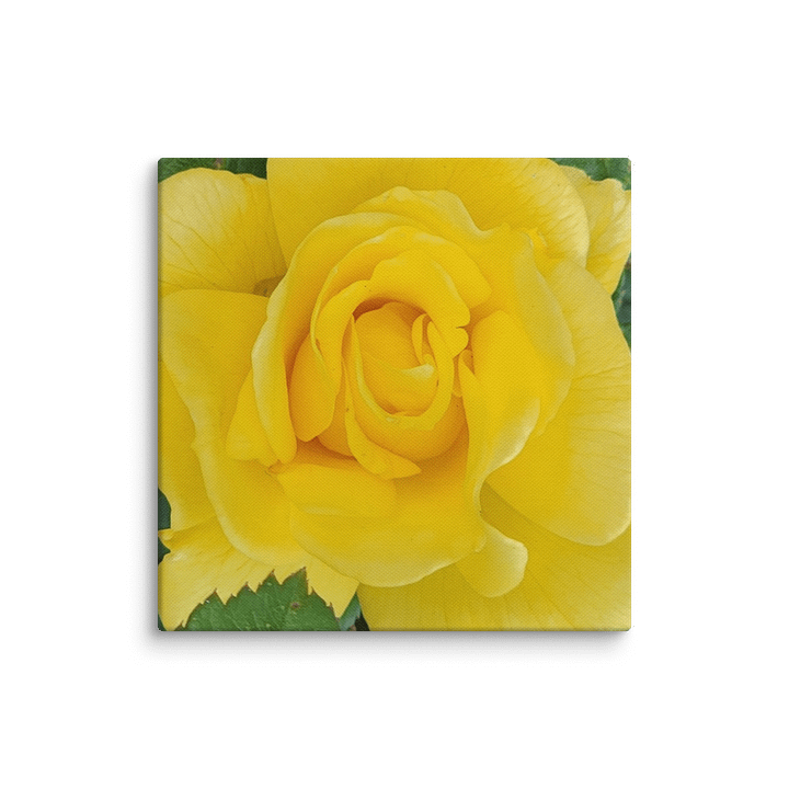 Sunshine Rose Canvas product image (20)