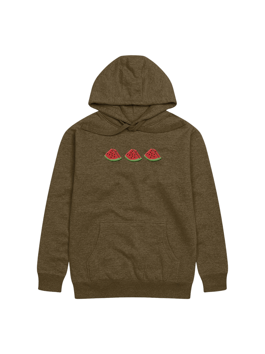 Sandia Embroidered Hoodie (green) product image (1)