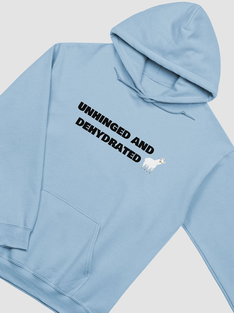 Unhinged & Dehydrated Hoodie product image (6)