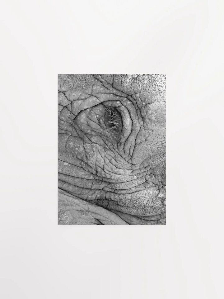 Captive Print product image (2)