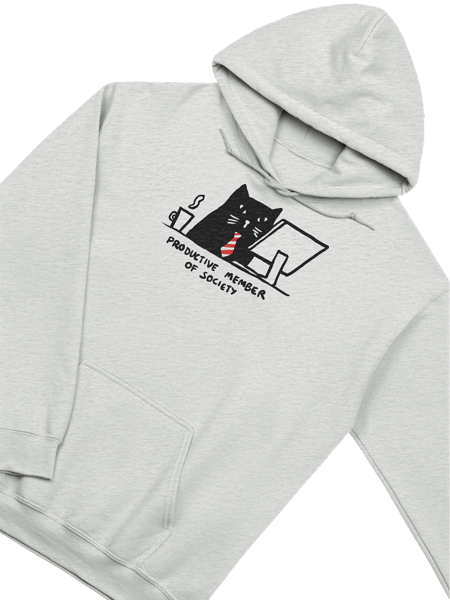 the model citizen graphic hoodie product image (3)