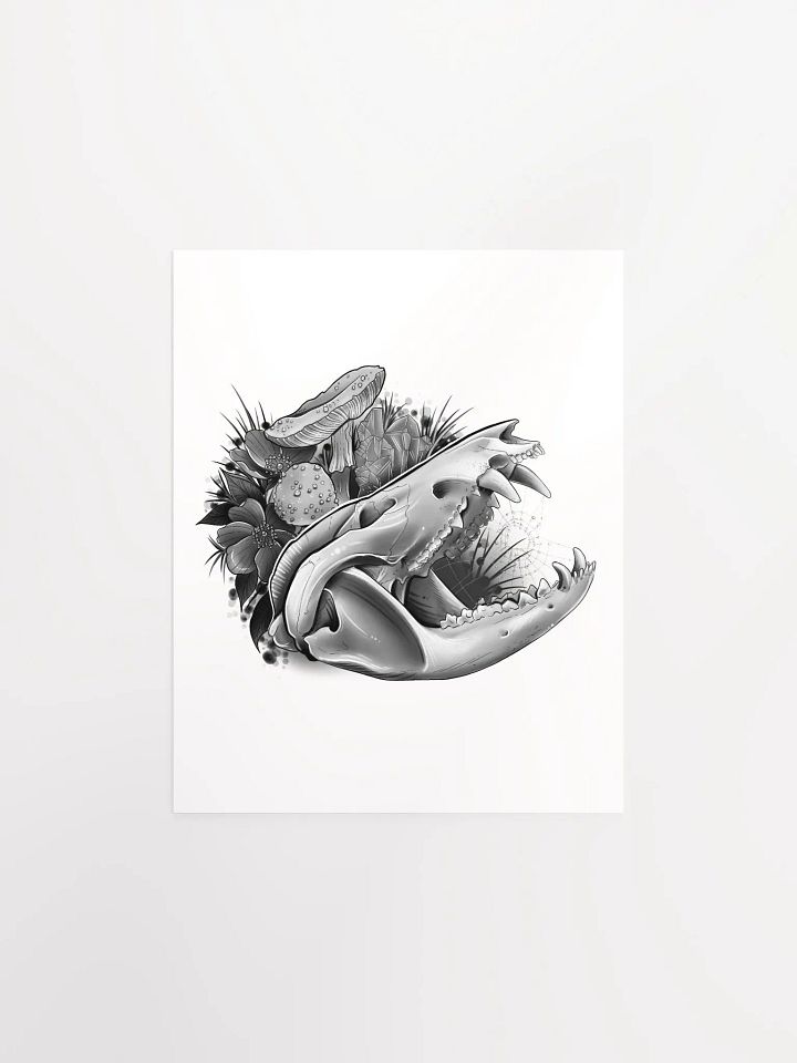 Opossum Skull Poster product image (2)