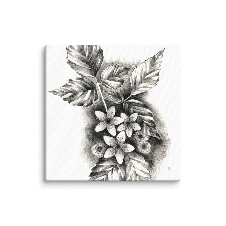Blank Canvas Masterpieces - Jasmine product image (1)