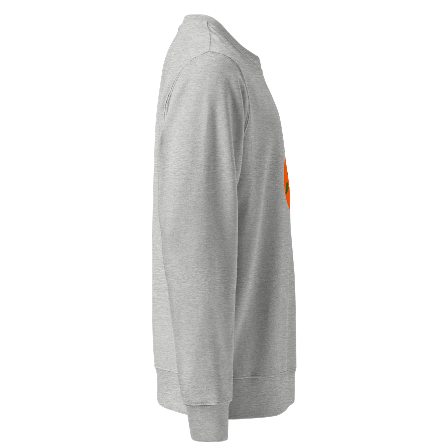 Bonsai Tree Harmony Organic Sweatshirt product image (4)