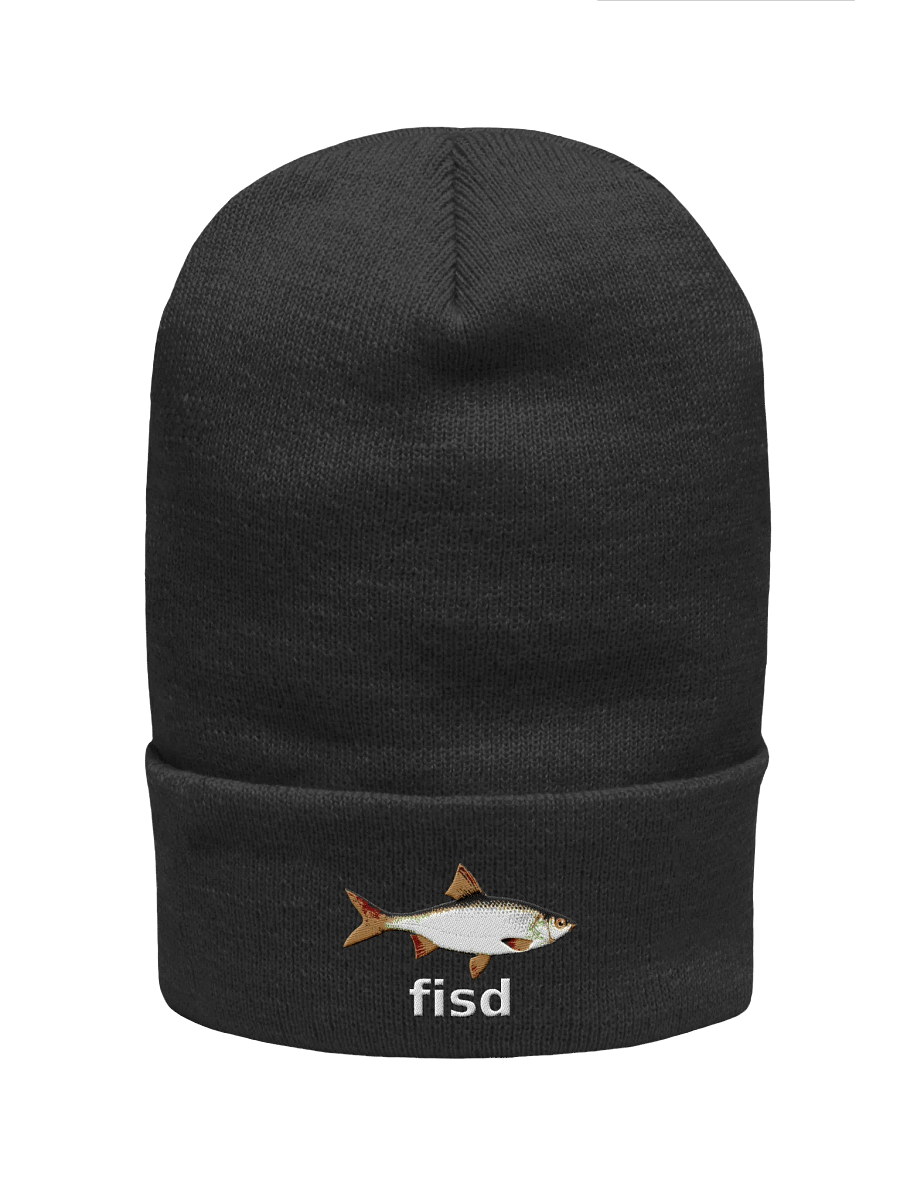 fisd beanie product image (1)