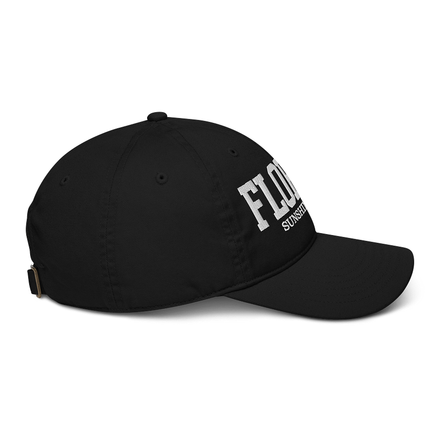 Florida Sunshine State Organic Dad Hat product image (8)