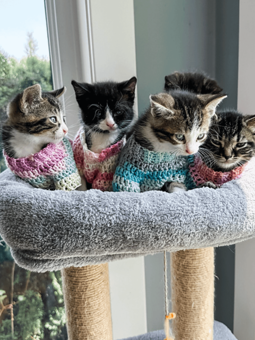 Kitty Pop Pullover Crochet Pattern product image (3)