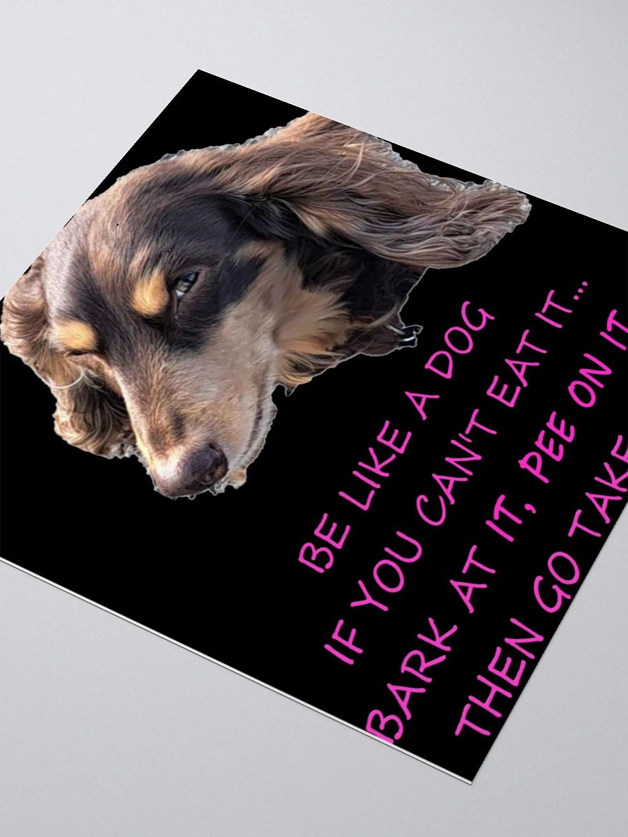 BE LIKE A DOG SIDE EYE product image (12)